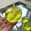 Cute Squishy Dumpling Toy- Slow Rise Stress Ball